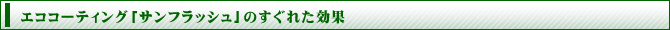 �G�R�R�[�e�B���O�u�T���t���b�V���v�̂����ꂽ����